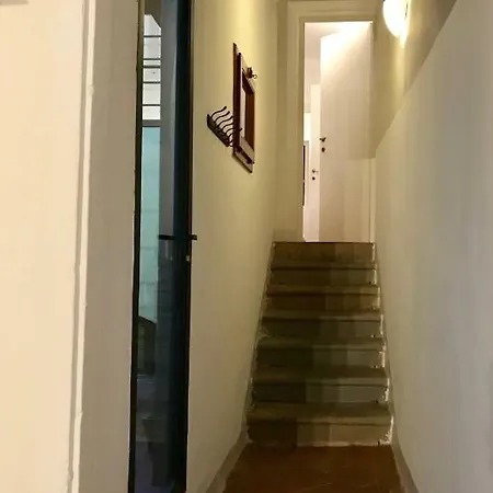 Alfani First Floor *